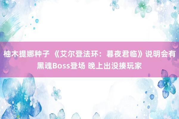 柚木提娜种子 《艾尔登法环：暮夜君临》说明会有黑魂Boss登场 晚上出没揍玩家