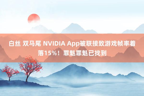 白丝 双马尾 NVIDIA App被联接致游戏帧率着落15%！罪魁罪魁已找到