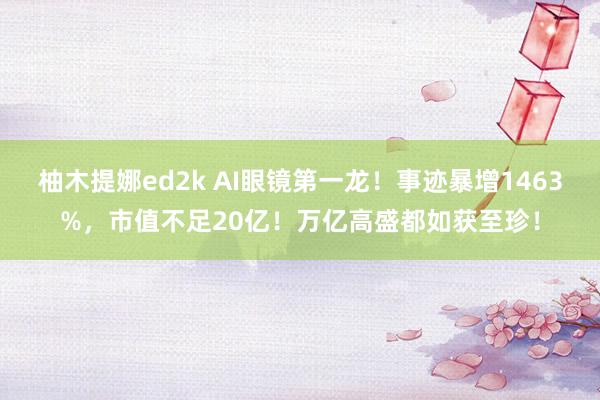 柚木提娜ed2k AI眼镜第一龙！事迹暴增1463%，市值不足20亿！万亿高盛都如获至珍！