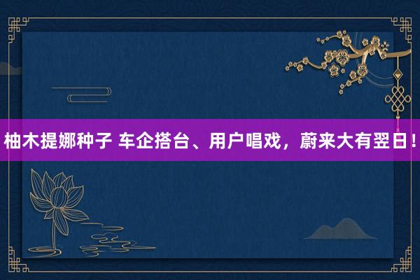 柚木提娜种子 车企搭台、用户唱戏，蔚来大有翌日！