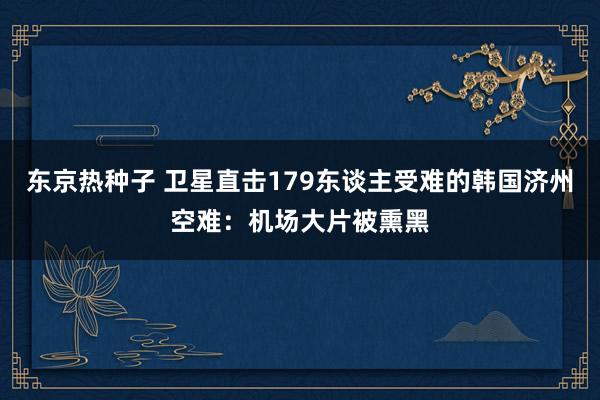 东京热种子 卫星直击179东谈主受难的韩国济州空难：机场大片被熏黑