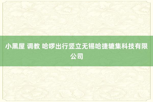 小黑屋 调教 哈啰出行竖立无锡哈捷辘集科技有限公司