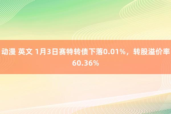 动漫 英文 1月3日赛特转债下落0.01%，转股溢价率60.36%