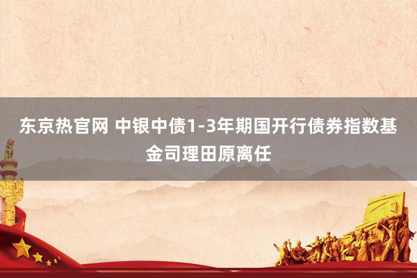 东京热官网 中银中债1-3年期国开行债券指数基金司理田原离任